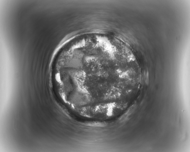 X0000084570198200703161729