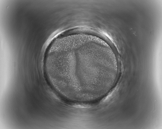X0000084570199200703161729