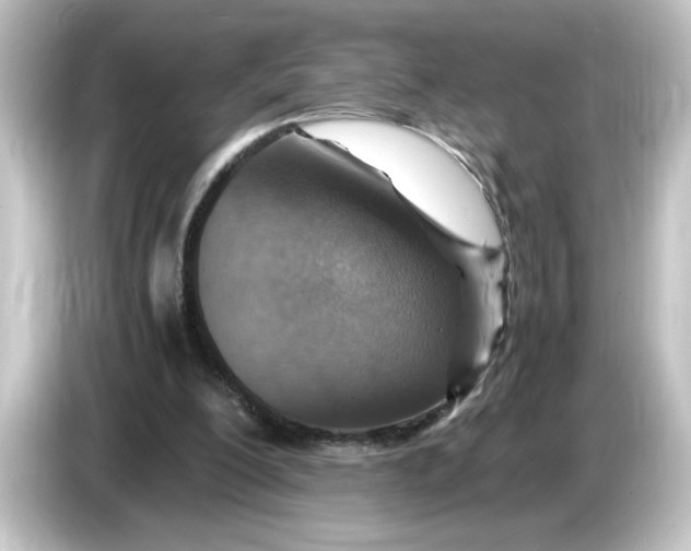 X0000084570200200703161729