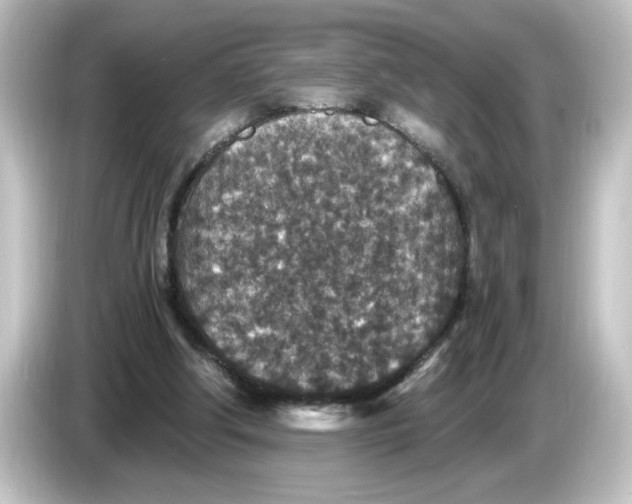 X0000084570202200703161728