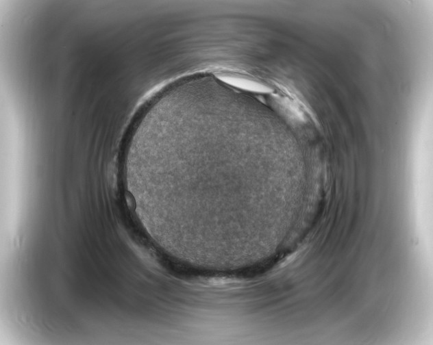 X0000084570204200703161728
