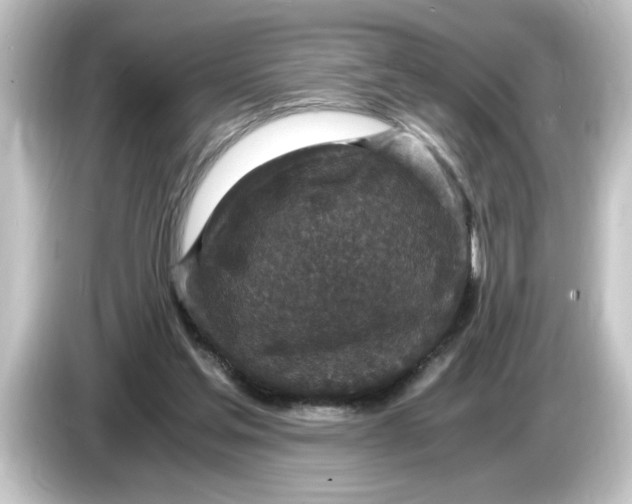 X0000084570205200703161728