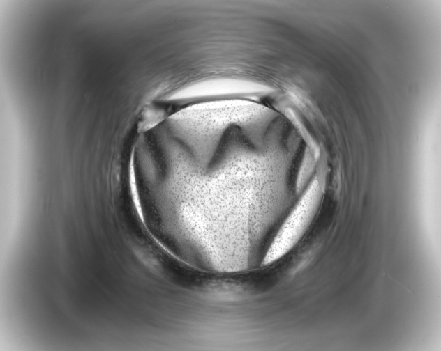 X0000084570207200703161728
