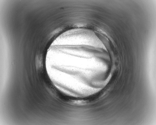 X0000084570212200703161728