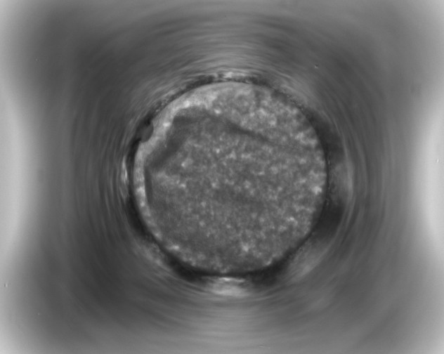 X0000084570222200703161728