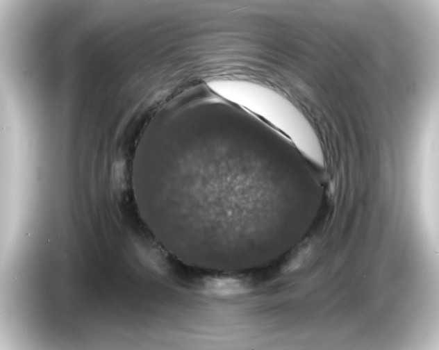 X0000084570224200703161728