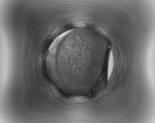 X0000084570229200703161728