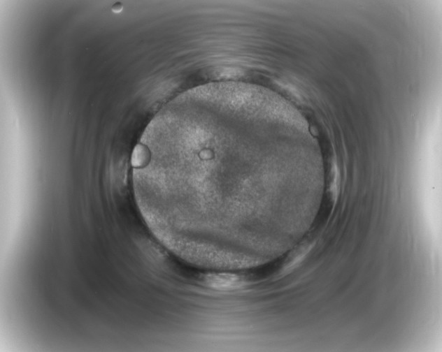 X0000084570230200703161728