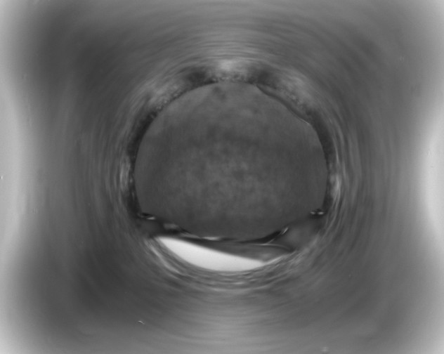 X0000084570231200703161728