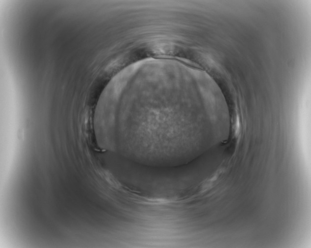 X0000084570233200703161728