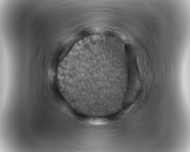 X0000084570235200703161728