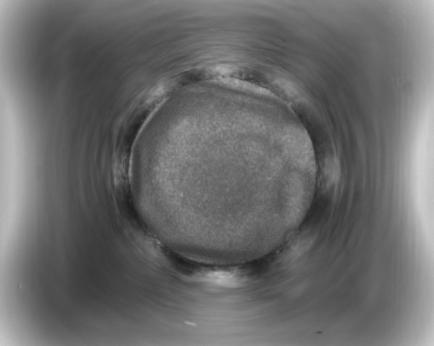 X0000084570236200703161728