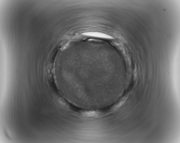 X0000084570237200703161728