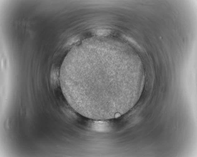 X0000084570240200703161728