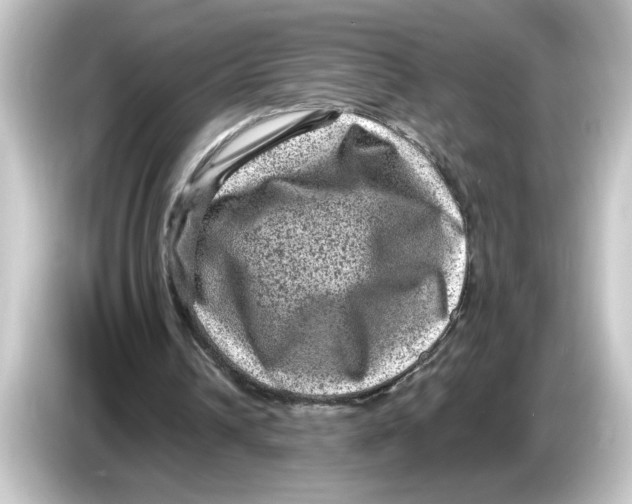 X0000084570242200703161727