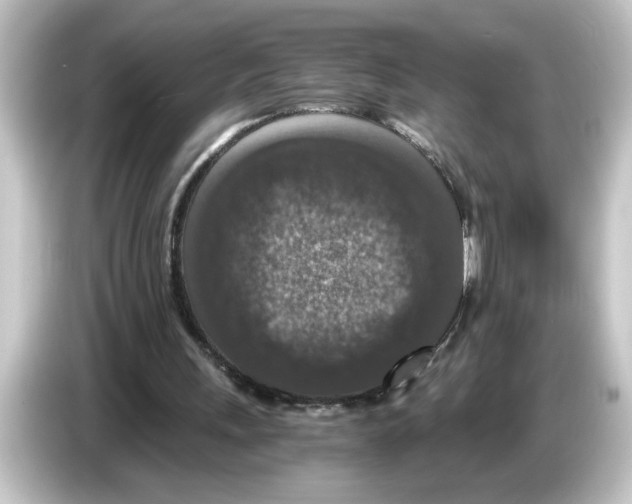 X0000084570243200703161728
