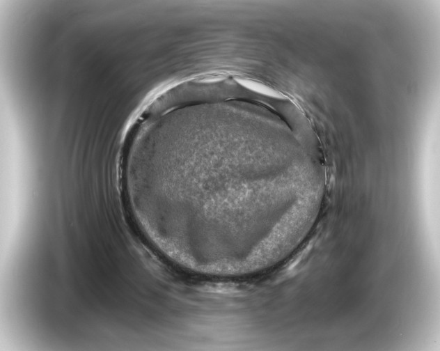 X0000084570244200703161728