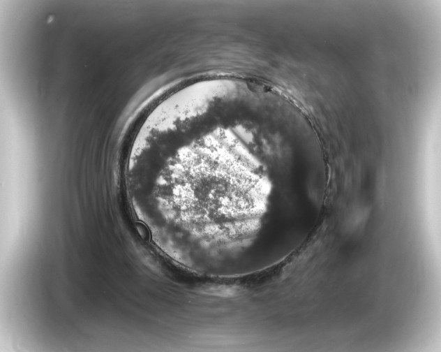 X0000084570247200703161728