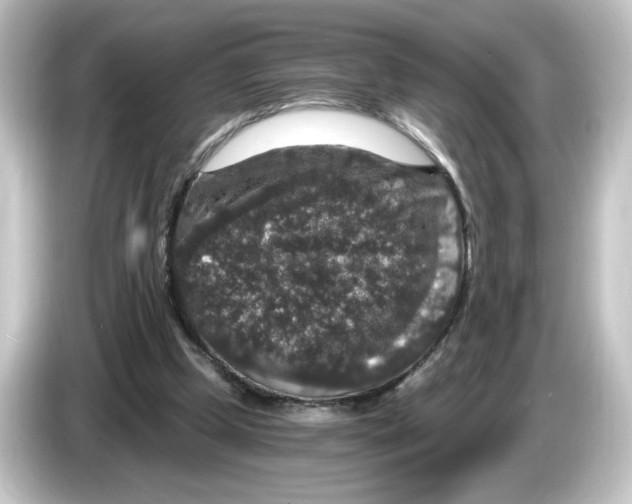 X0000084570249200703161728