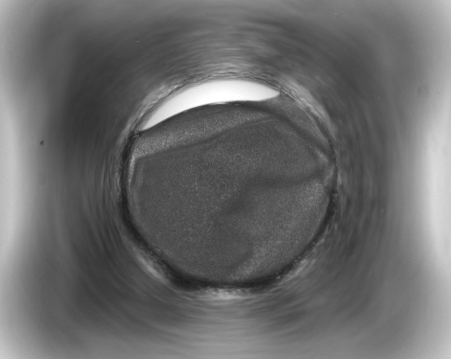 X0000084570250200703161728