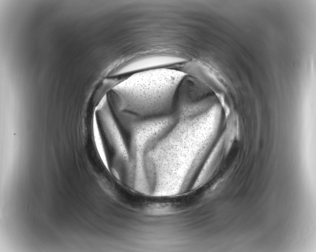 X0000084570252200703161728