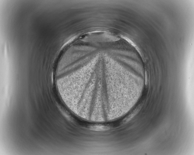 X0000084570253200703161728