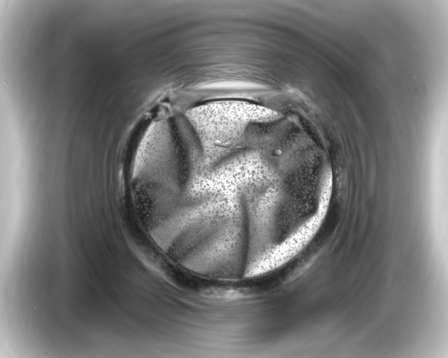 X0000084570254200703161728