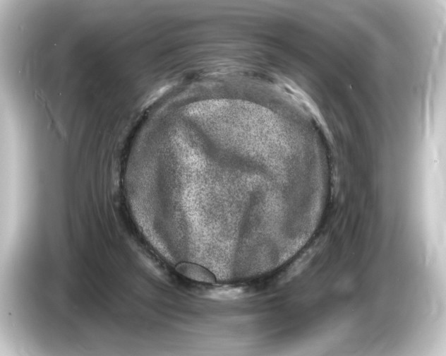 X0000084570257200703161728