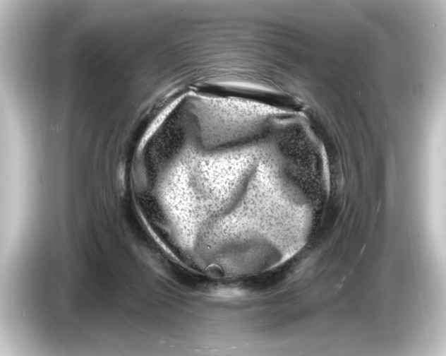 X0000084570262200703161728