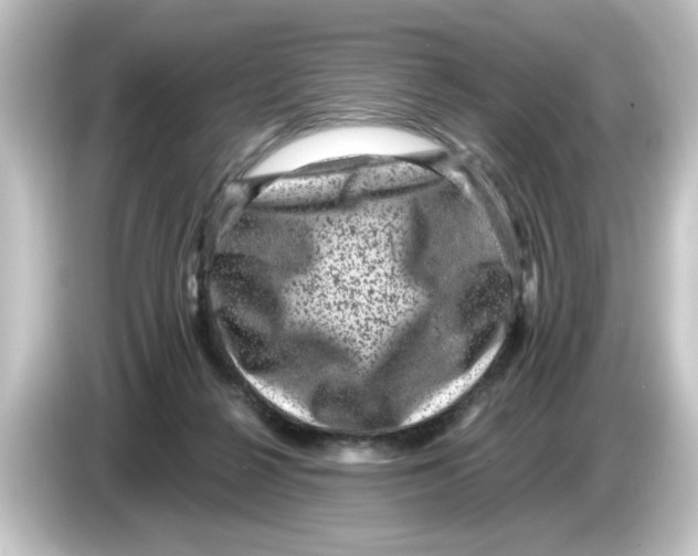 X0000084570264200703161728
