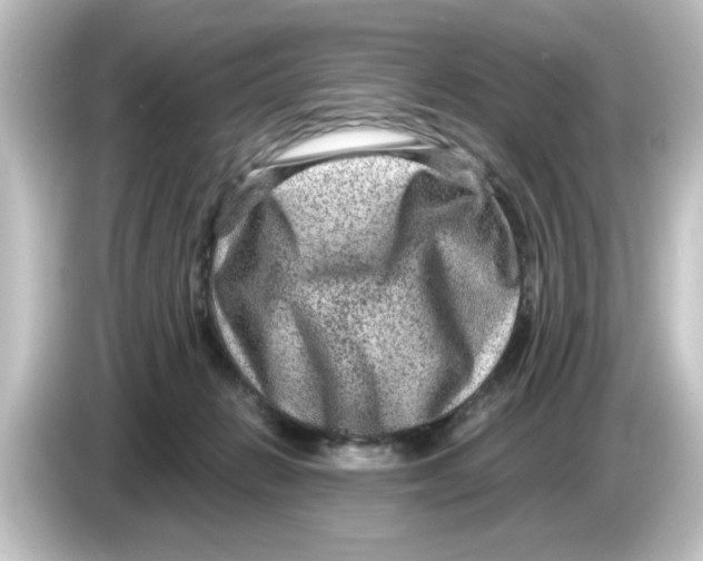 X0000084570270200703161728