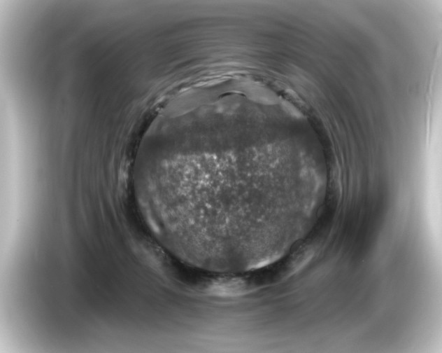 X0000084570271200703161728