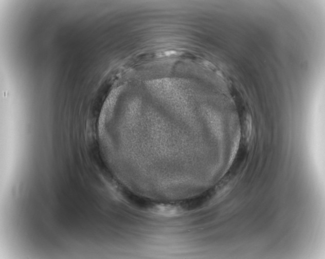 X0000084570272200703161728