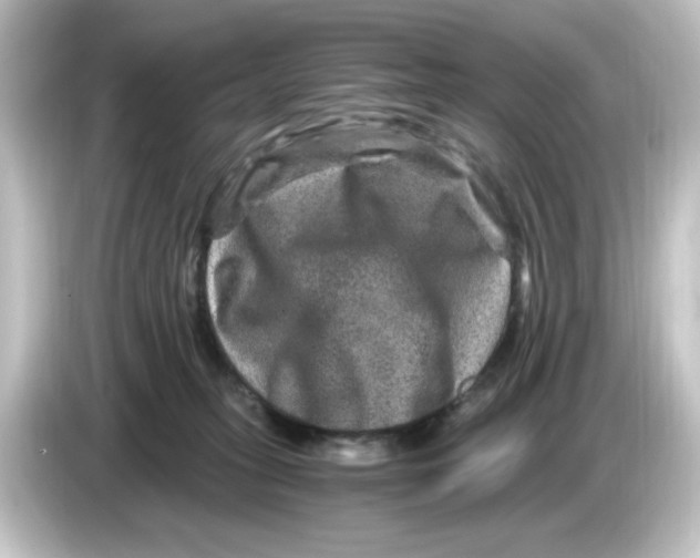 X0000084570275200703161728