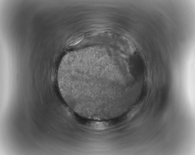 X0000084570277200703161728