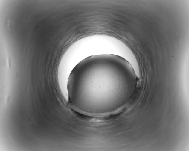X0000084570280200703161728