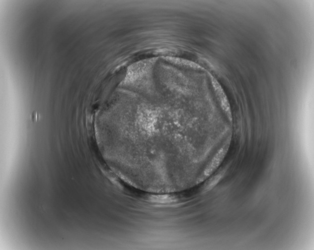 X0000084570281200703161728