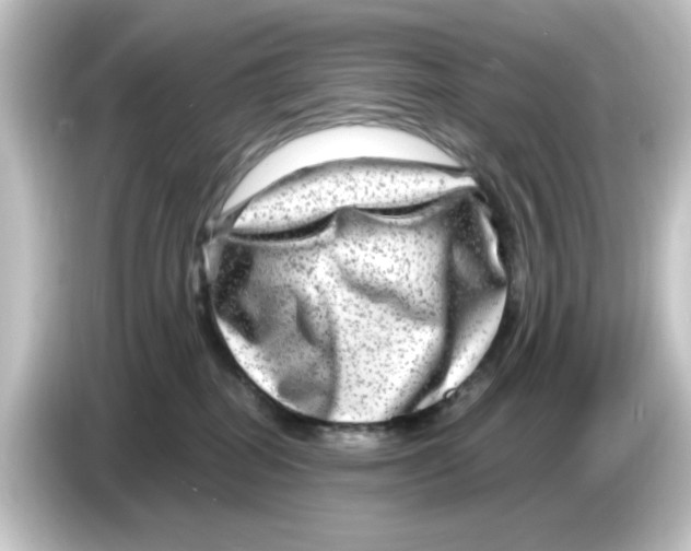 X0000084570282200703161728