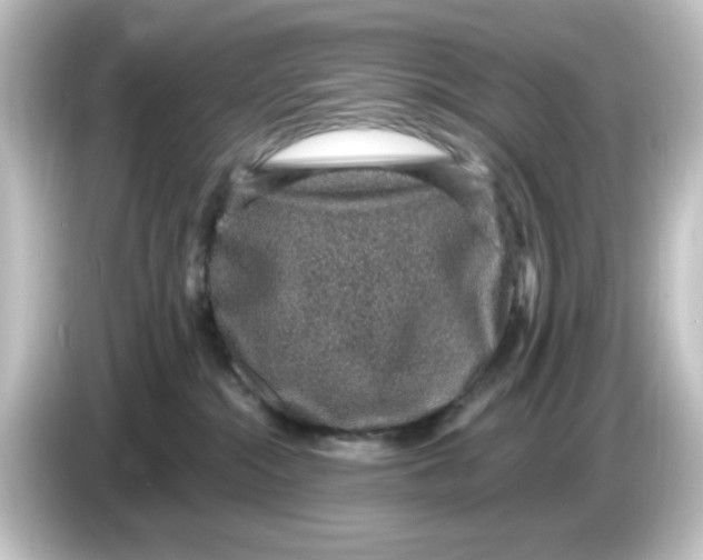 X0000084570284200703161728