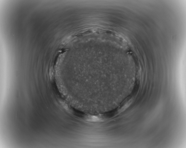 X0000084570285200703161728
