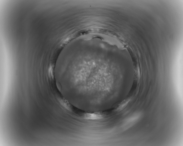 X0000084570286200703161728