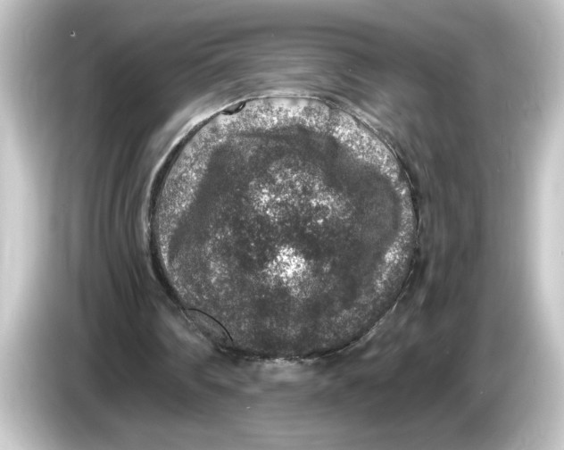 X0000084570290200703161727