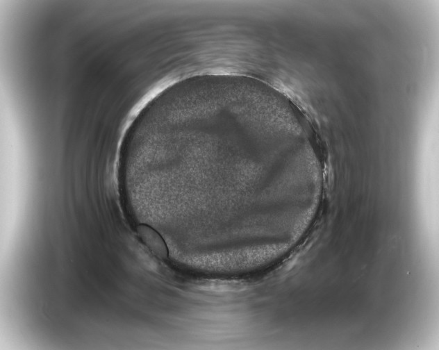 X0000084570292200703161727