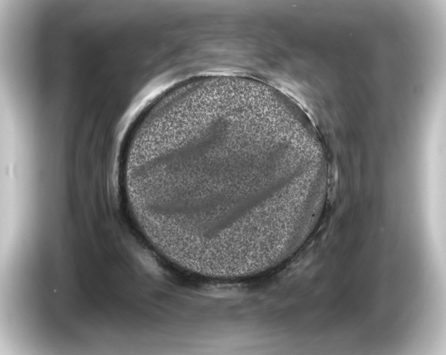 X0000084570296200703161727