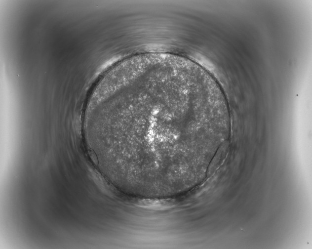 X0000084570297200703161727