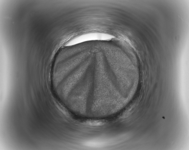 X0000084570299200703161727