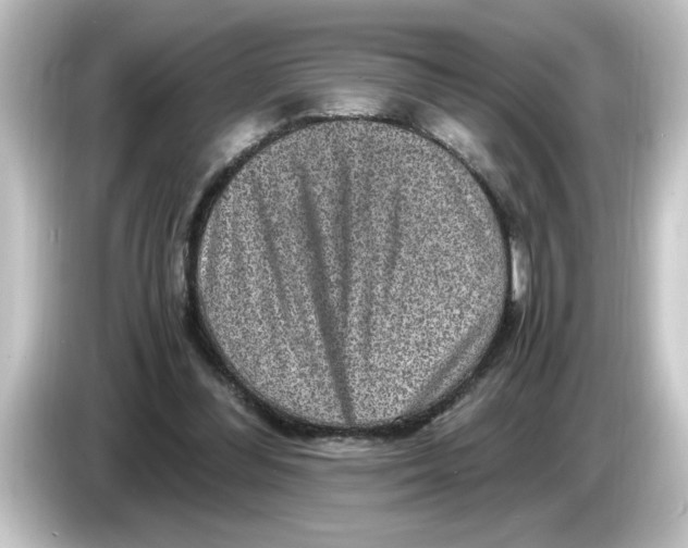 X0000084570300200703161727
