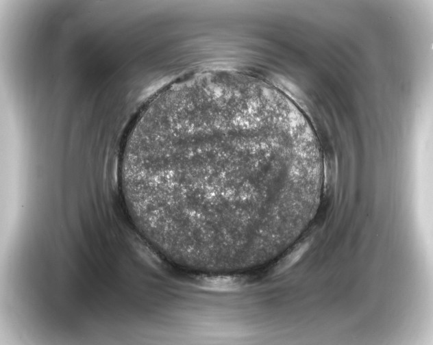 X0000084570301200703161727
