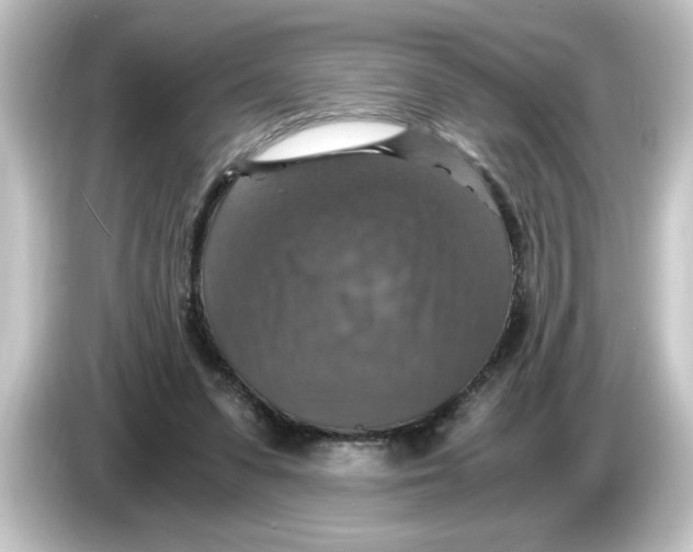 X0000084570303200703161727