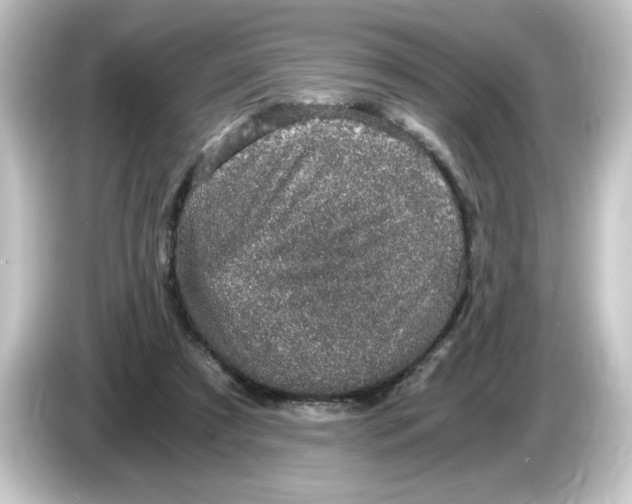 X0000084570305200703161727